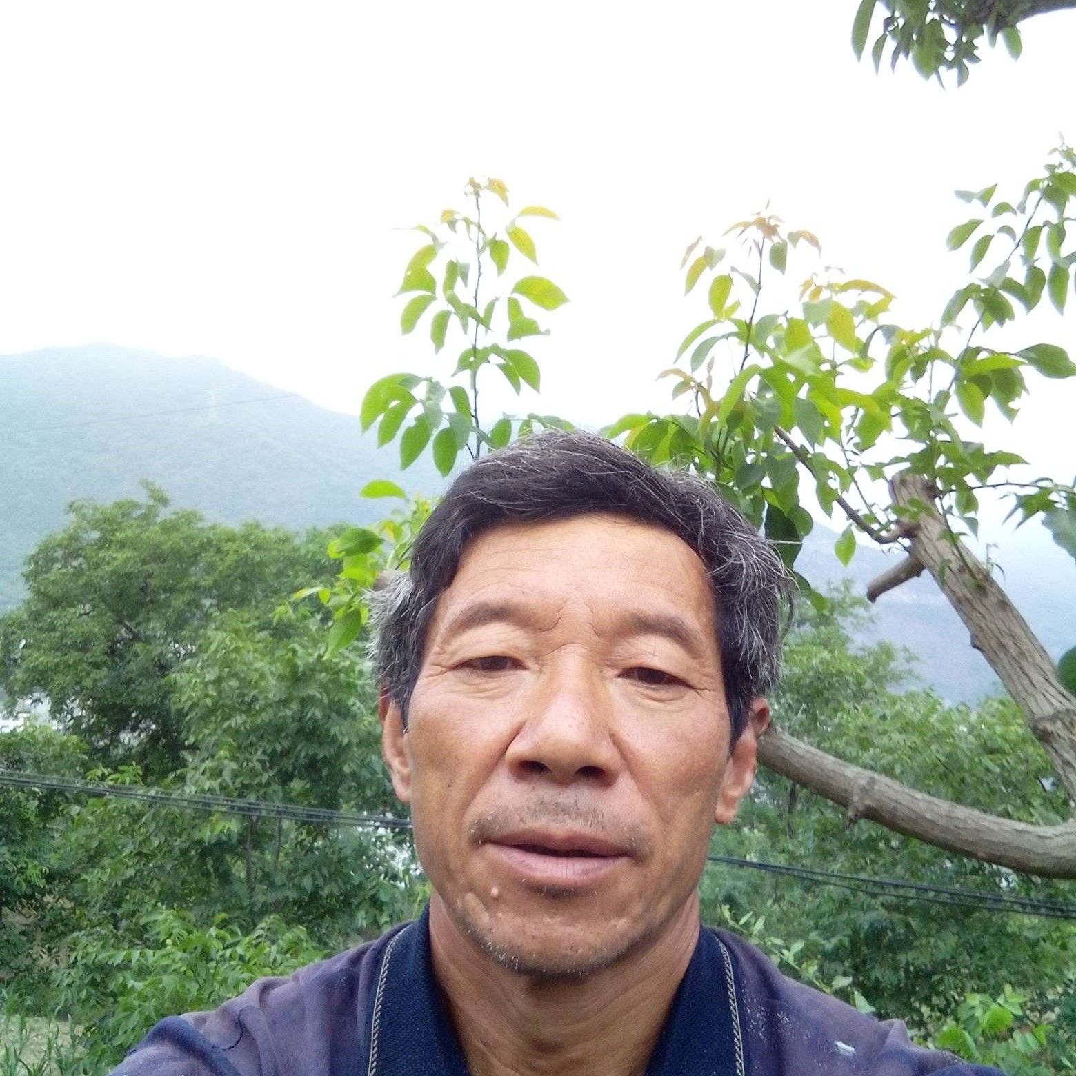 怕孤单与季节李军的照片