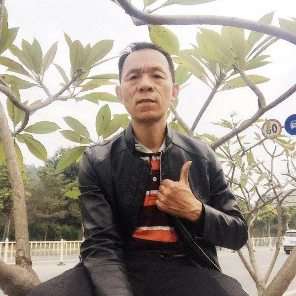 树叶的斯文的照片