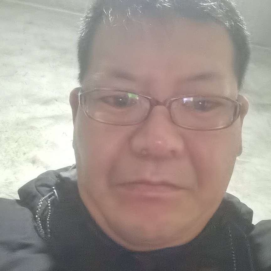 牛犊子玩意的照片