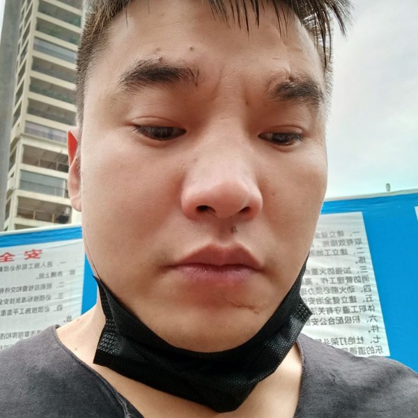 大炮的正直的照片