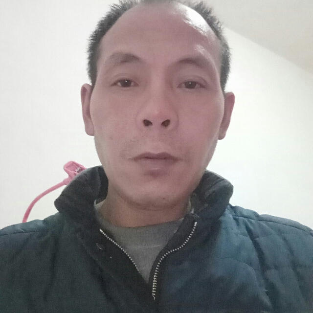 洋葱停止正直的照片