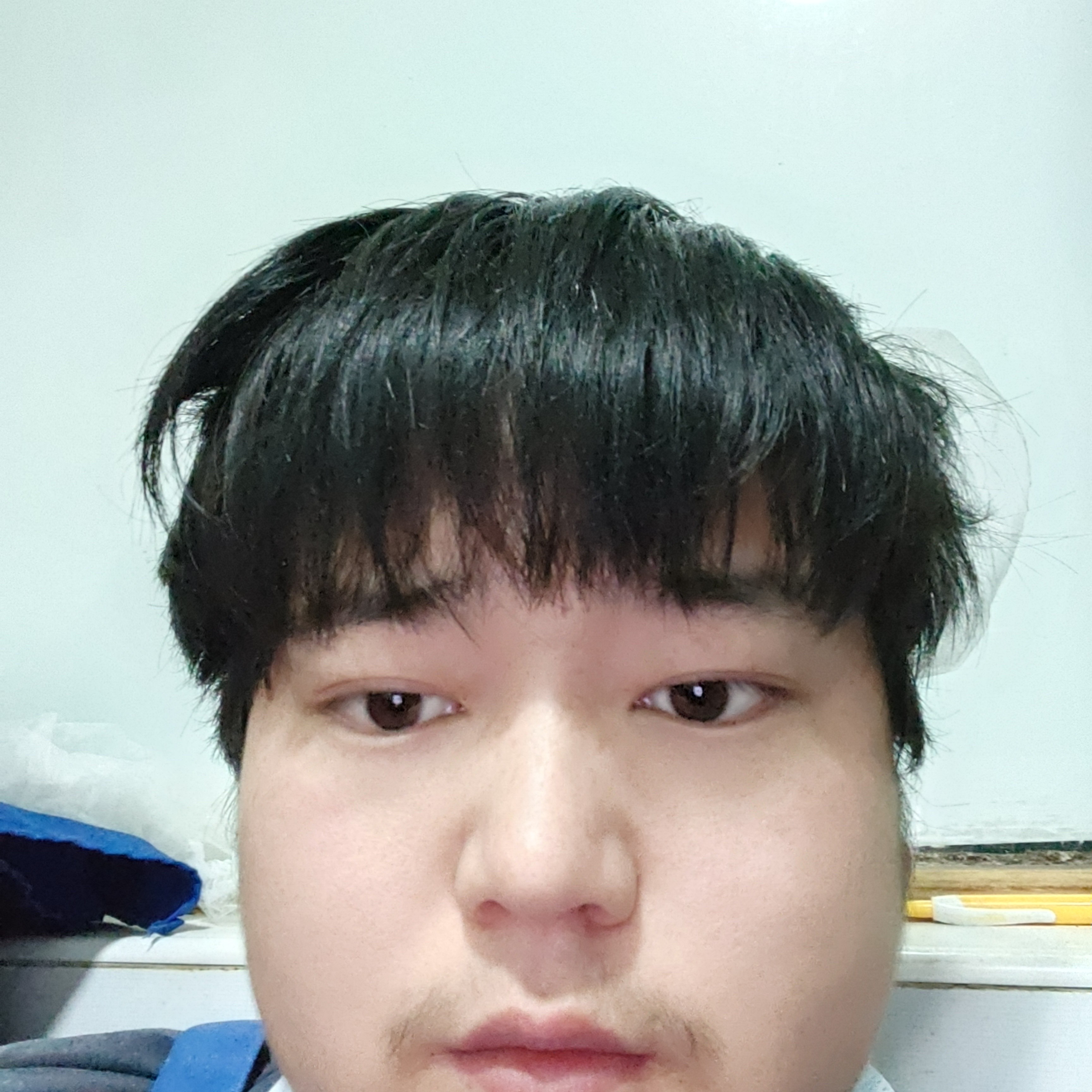 舞蹈高贵的照片