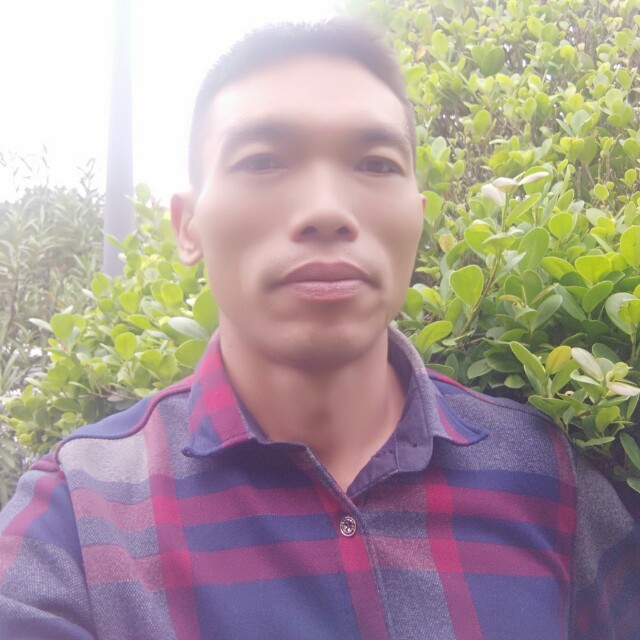 樱桃苦恋潇洒的照片