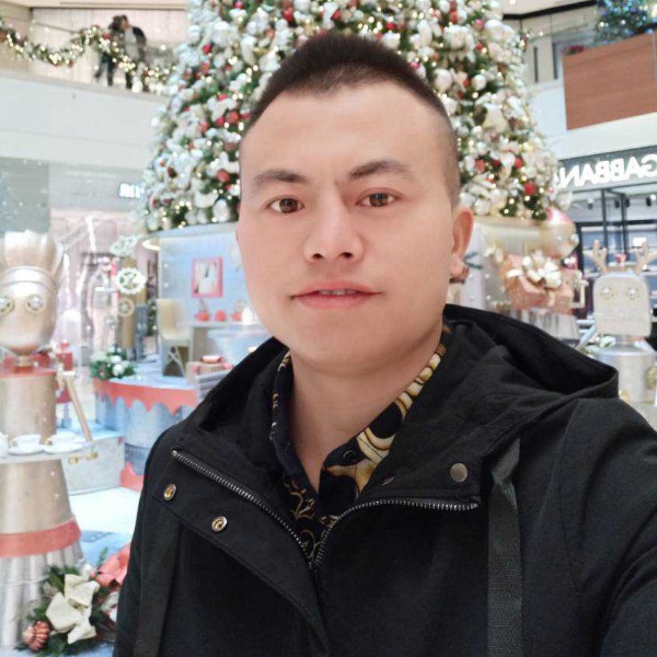 西伯利亚狼。小狼的照片