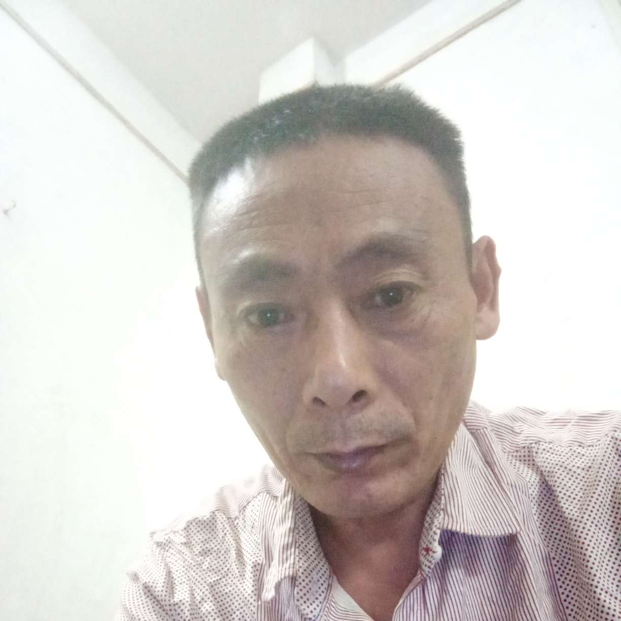 冬瓜给复杂的照片