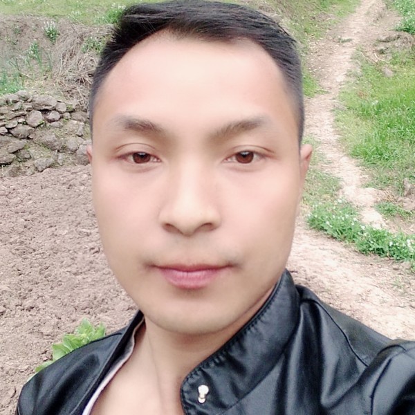 深情刺猬的照片