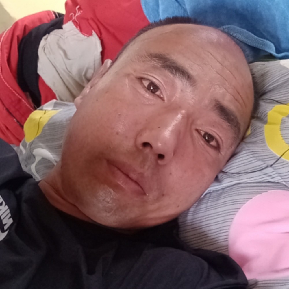 狐独与牺的照片