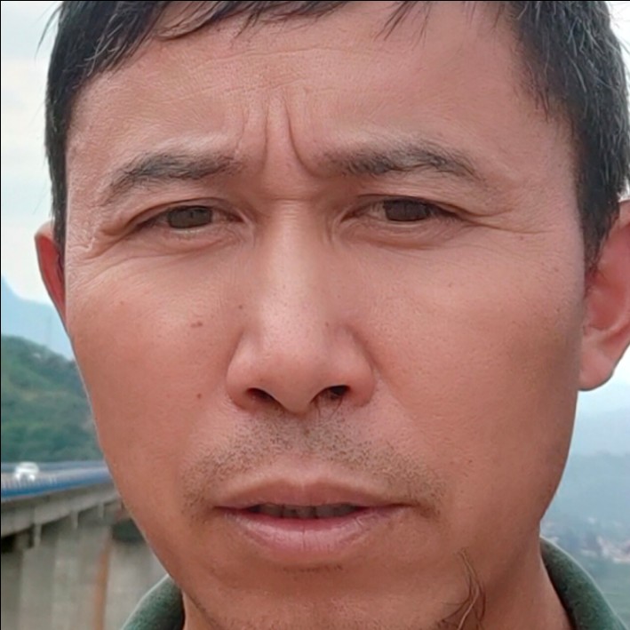 蚂蚁的体贴的照片