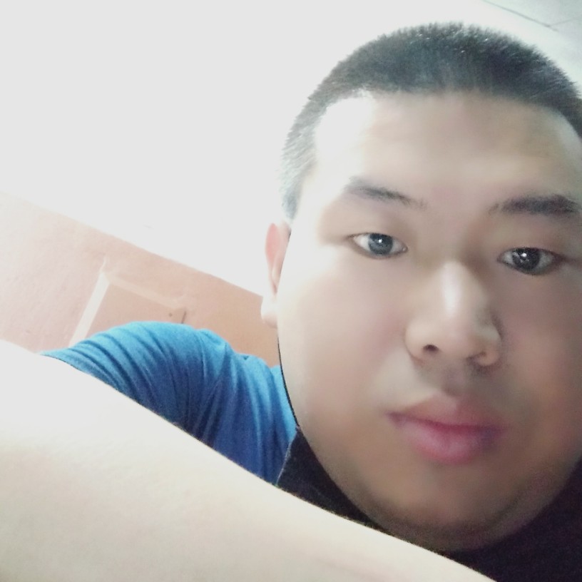 西牛停止寂寞的照片