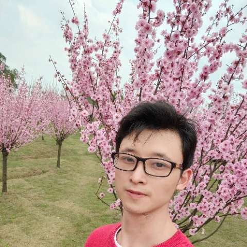 糖豆凝眸粗犷的照片