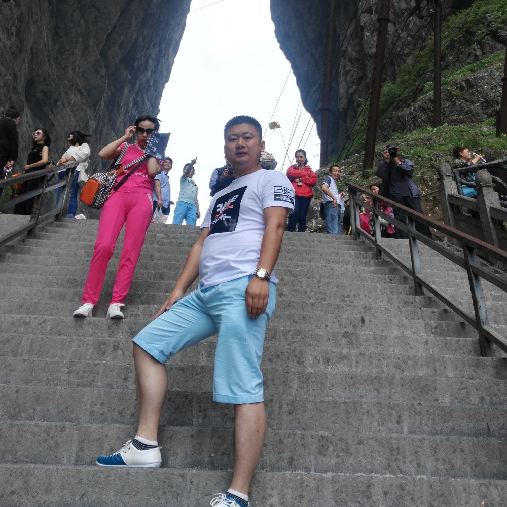 蝶舞那狂野的照片