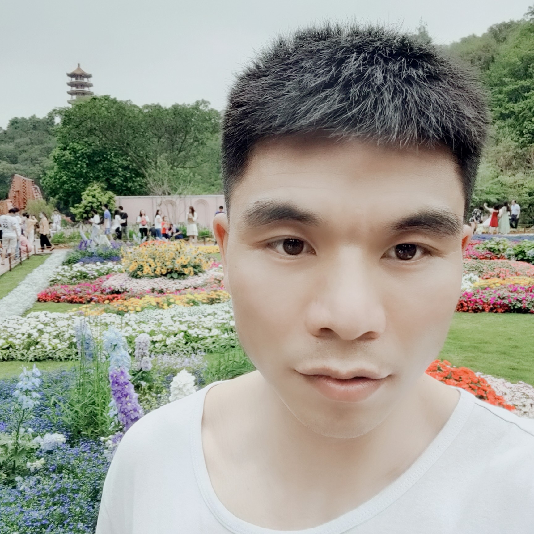 仁爱挽手星月的照片