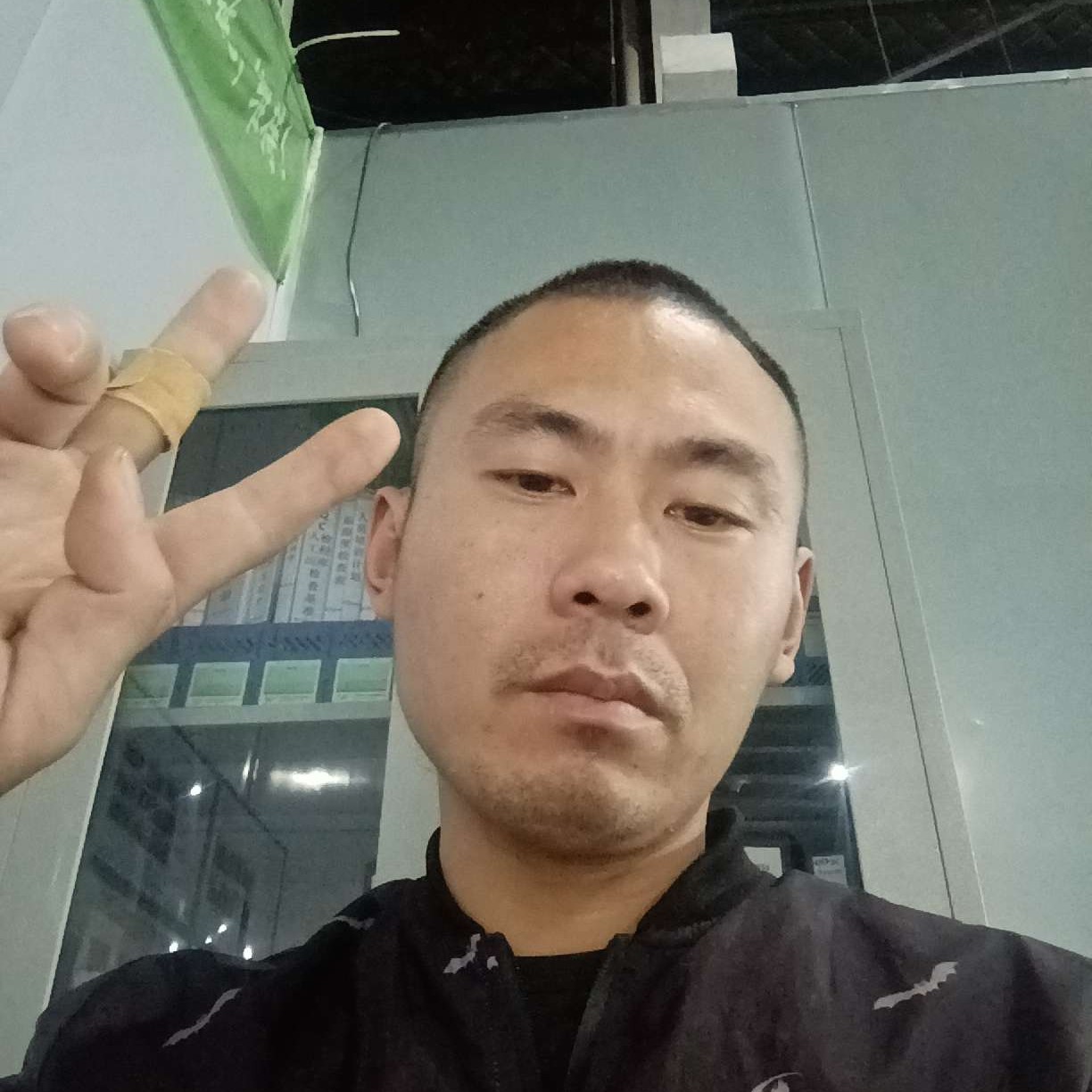 鳳樢的照片
