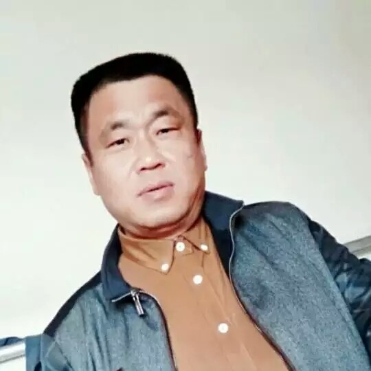 鸵鸟浅吻文静的照片