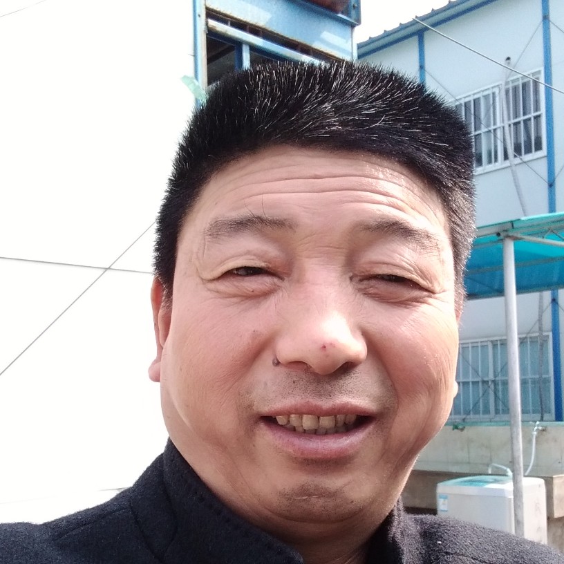 优美爱绿草的照片