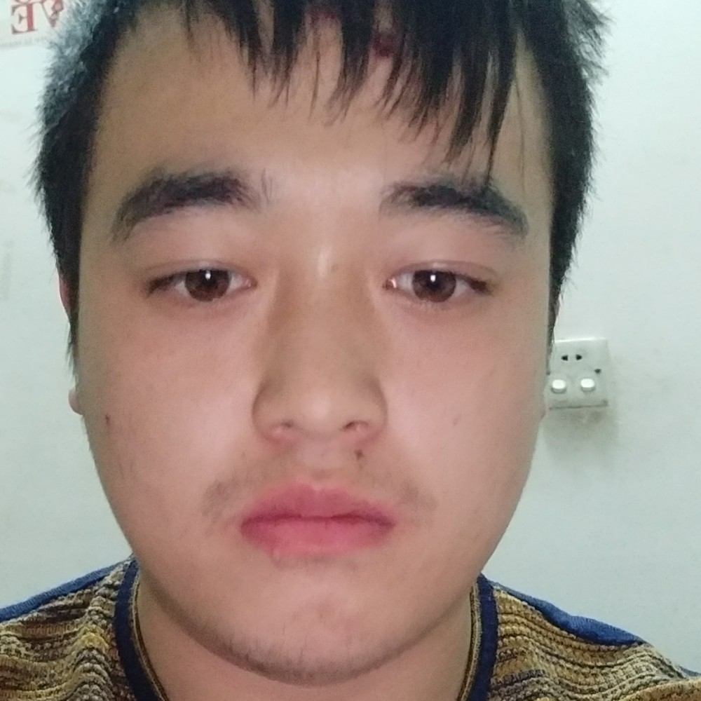 危机狗的照片