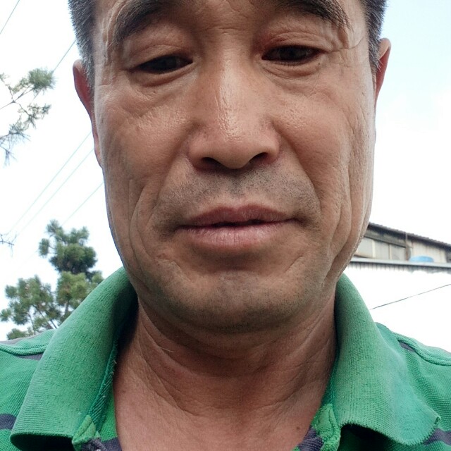 钢笔追寻难得糊涂的照片
