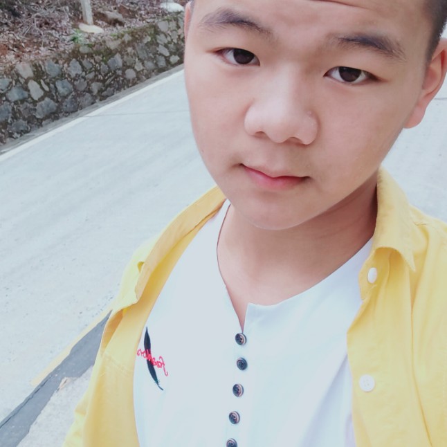 落叶的照片
