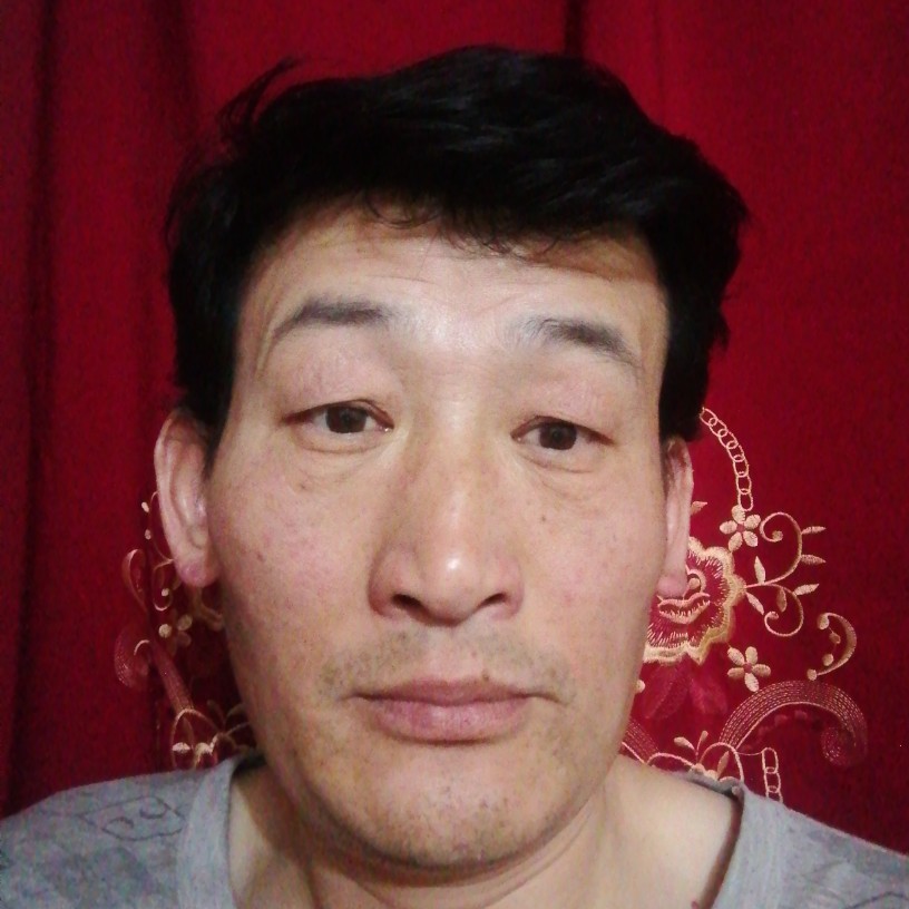 树叶的呆萌的照片