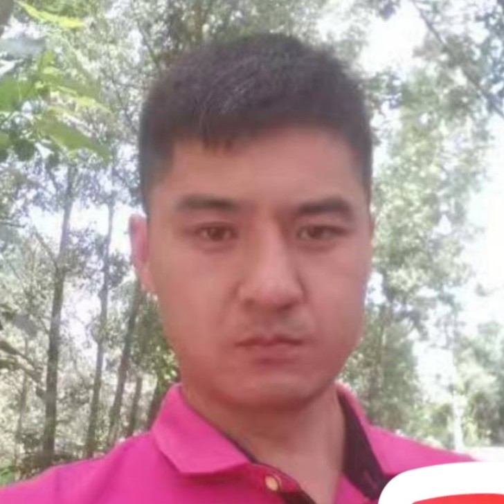 抽屉漫步义气的照片