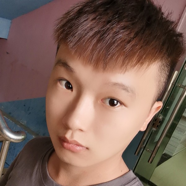 大船倾心友好的照片
