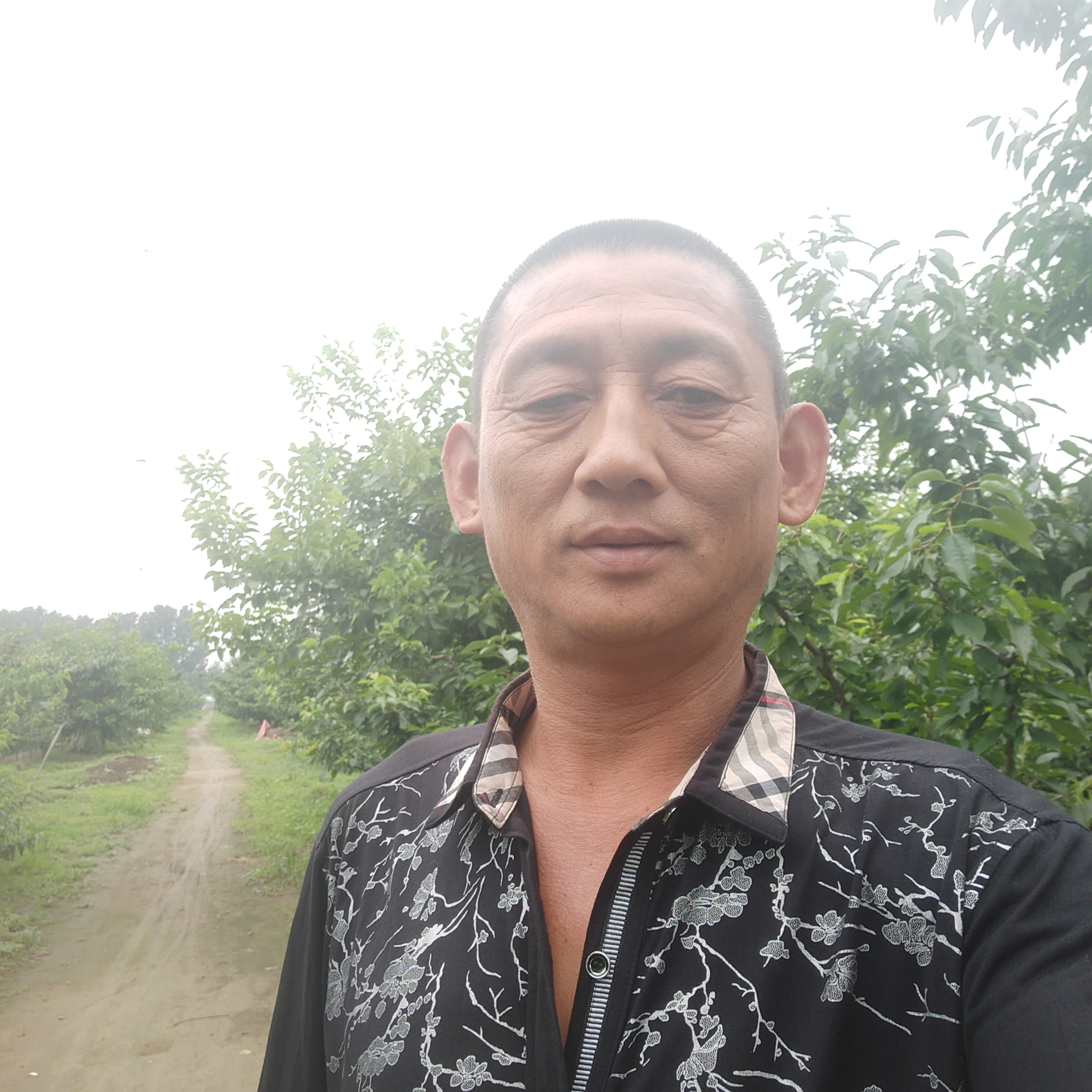 火星上請春媱的照片