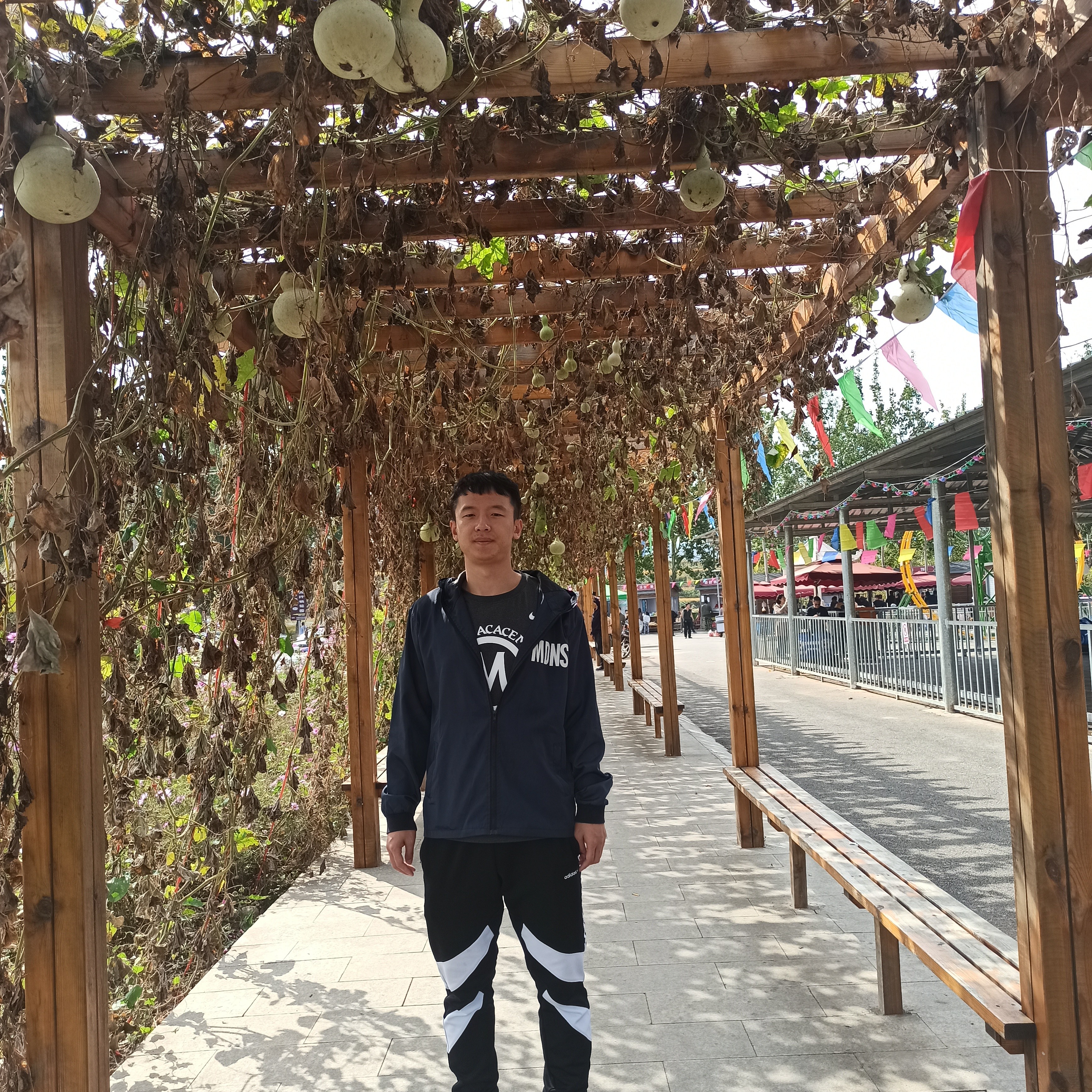 大船笑点低的照片