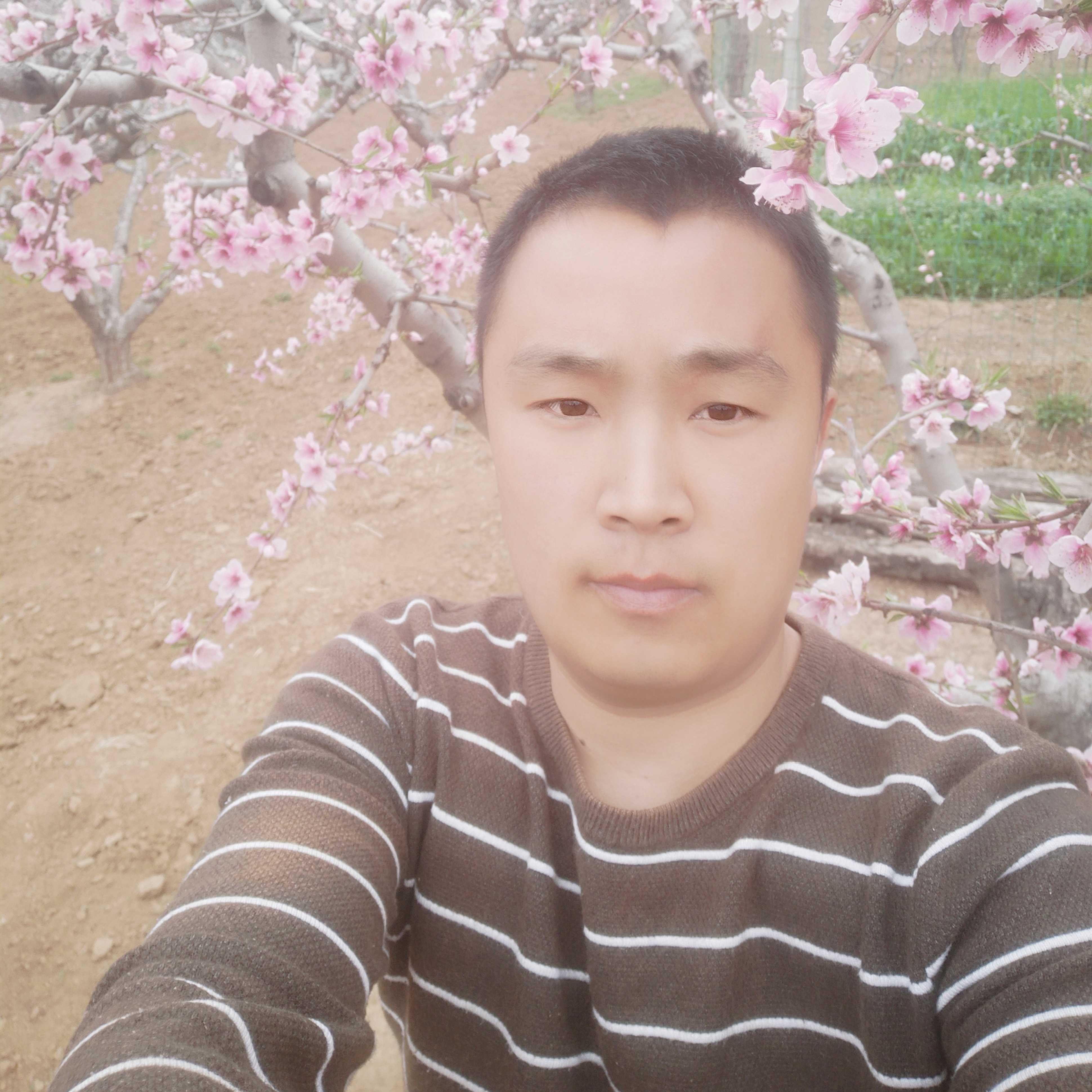 会员834554529的照片