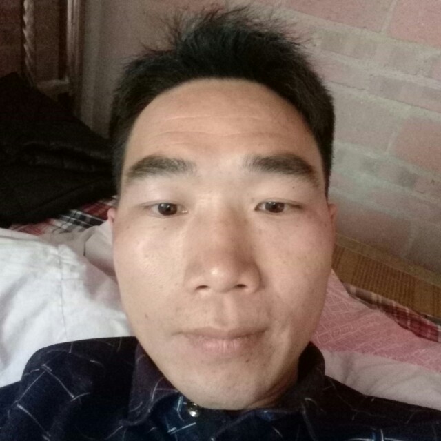 蘩藜方飘逸的照片
