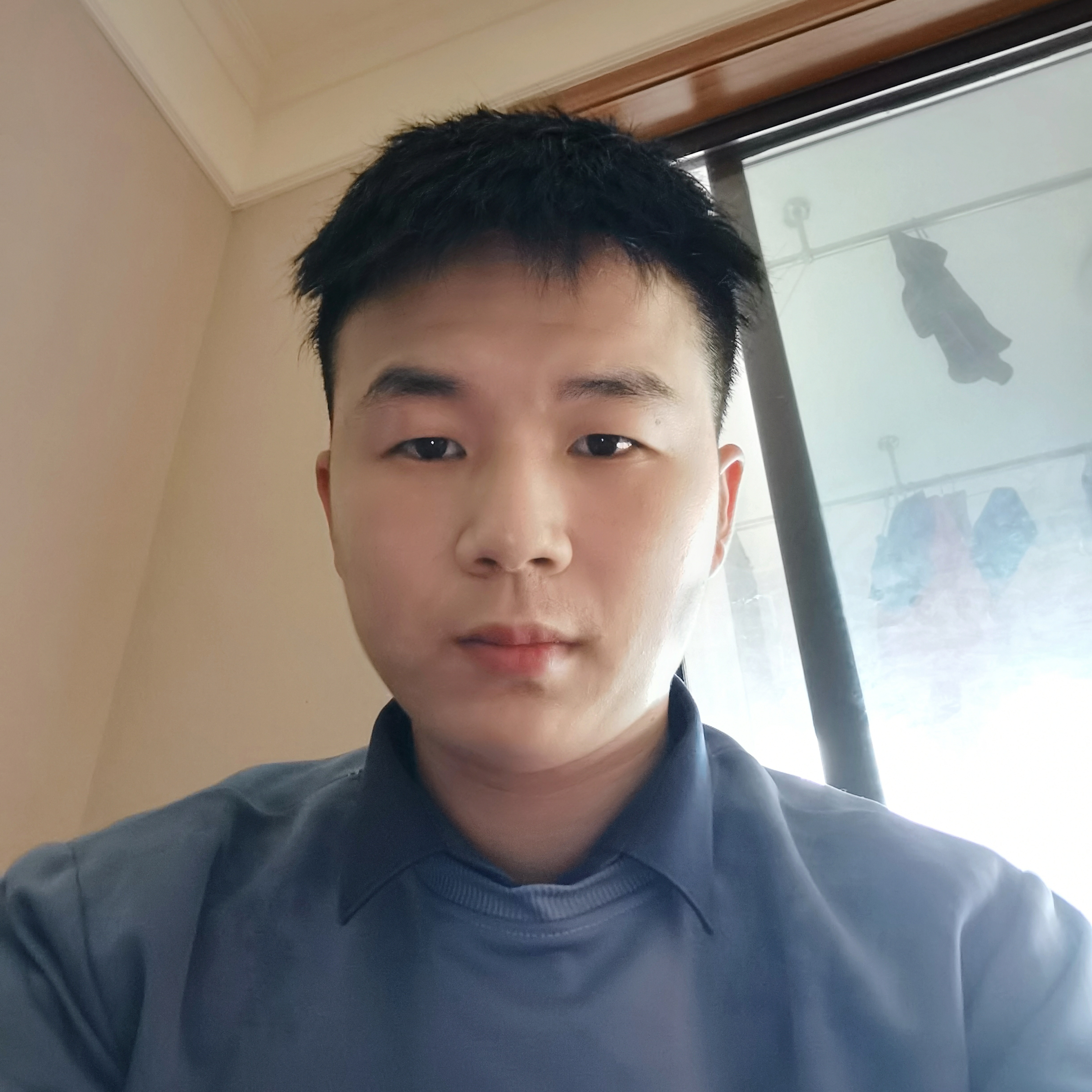 殷勤扯大树的照片