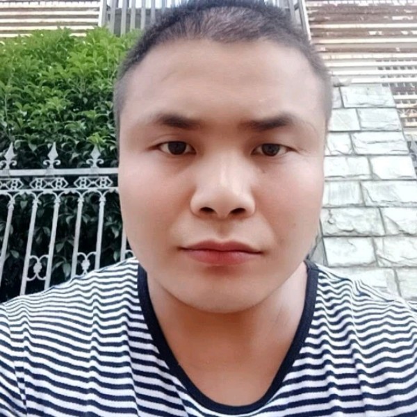何必多情。的照片