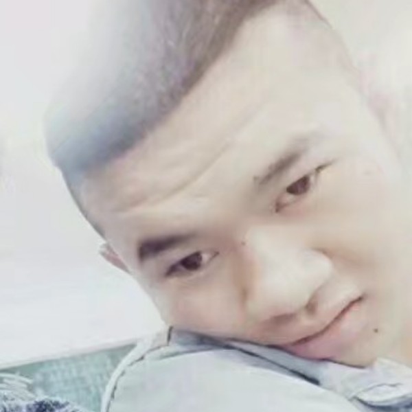 精神牛的照片