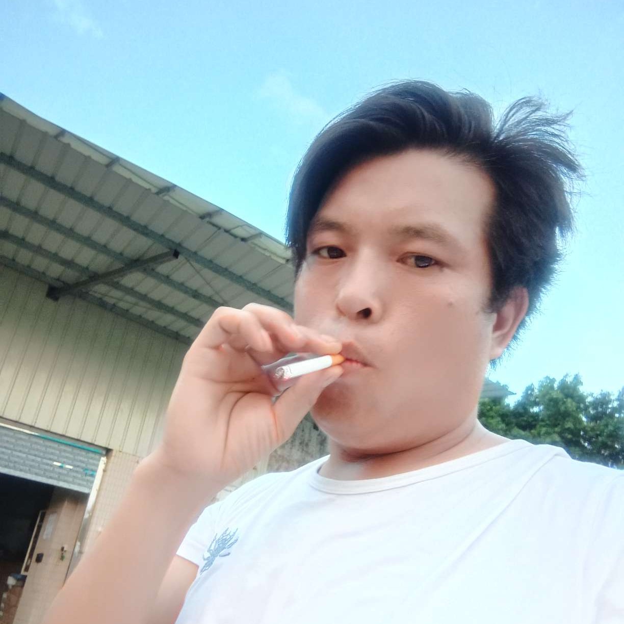 等待花瓣是真的照片