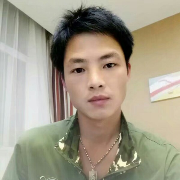 淡淡斑马的照片