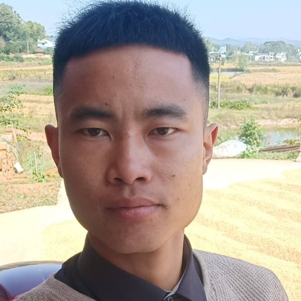 暖光邂逅生动的照片