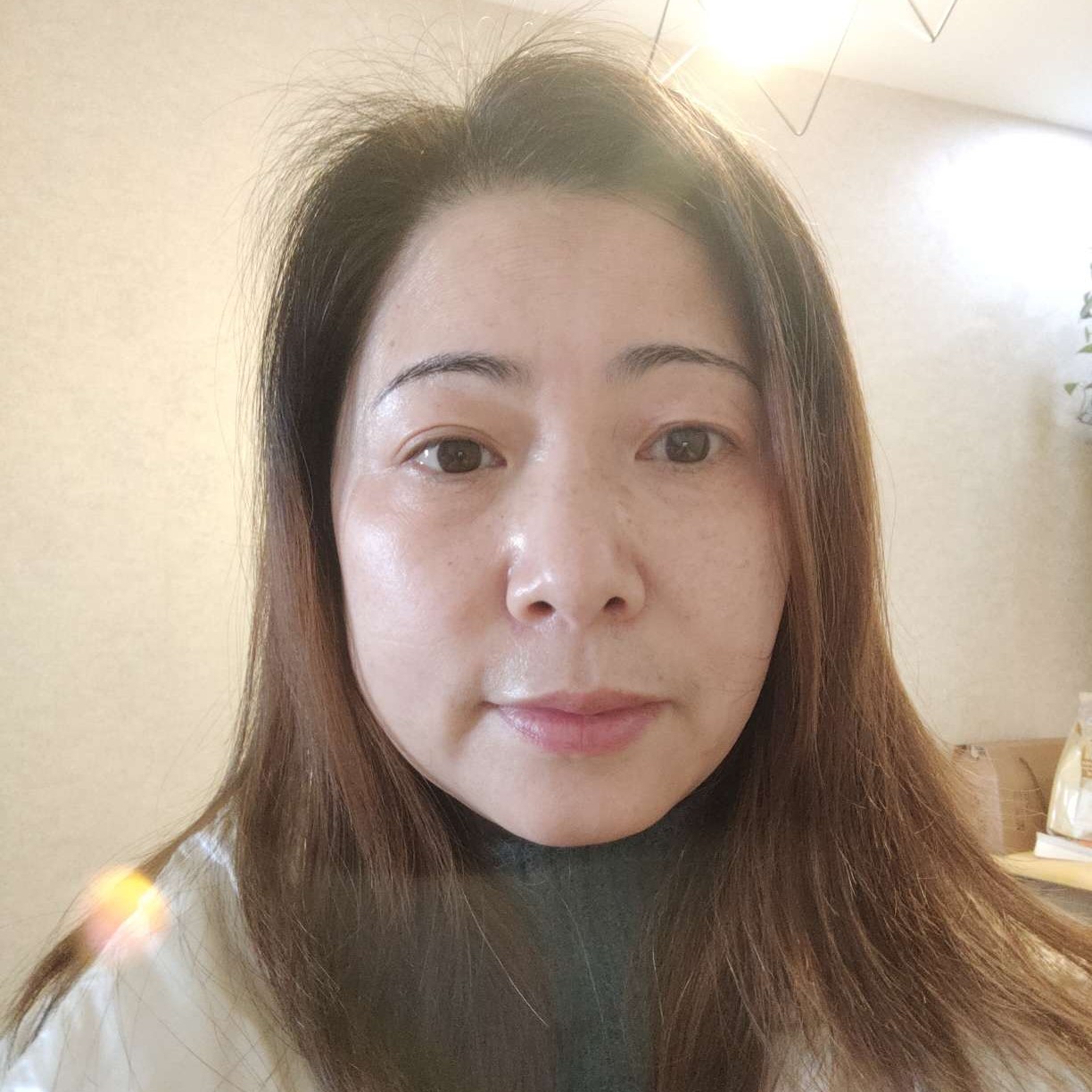 大雁等待简单的照片