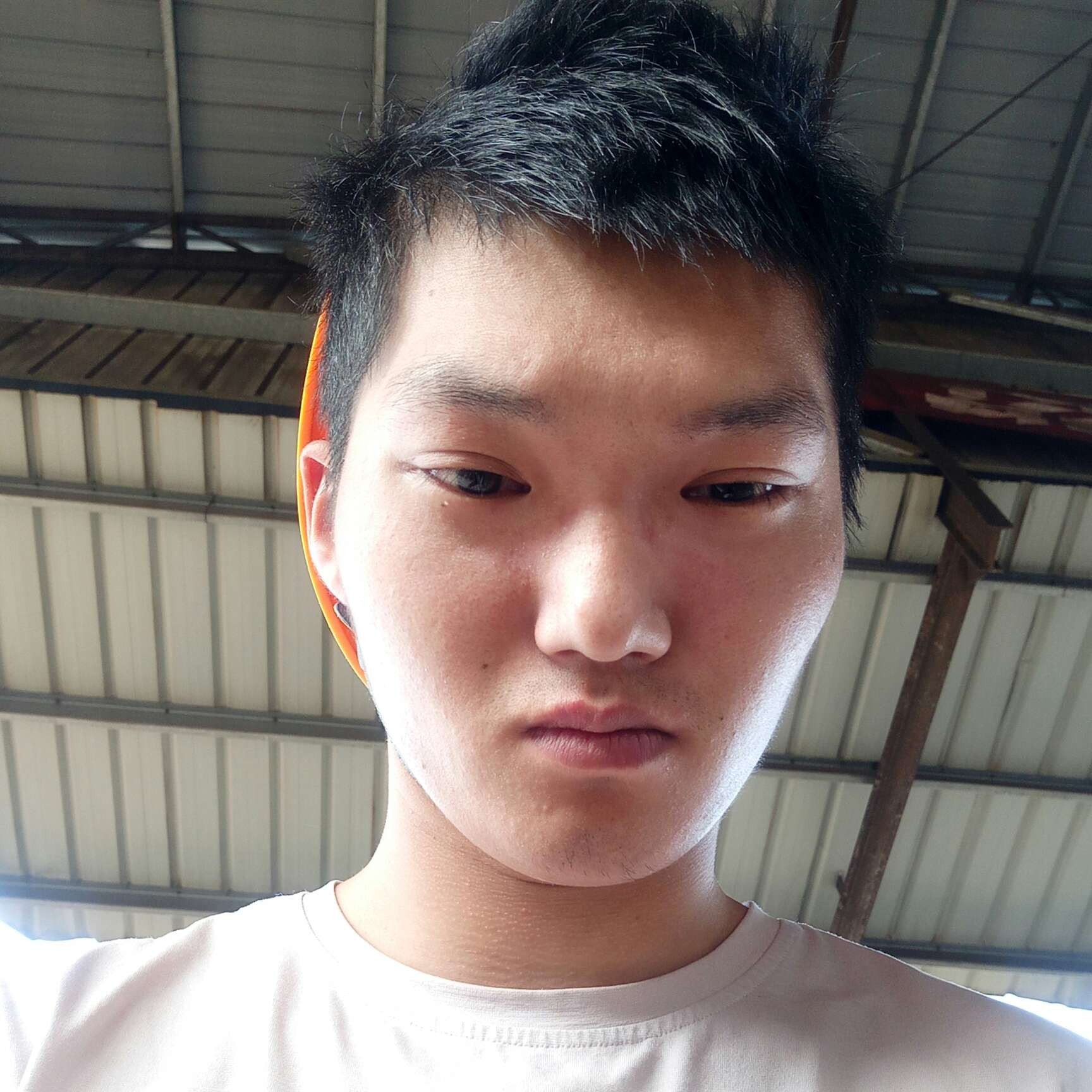 梦影a的照片
