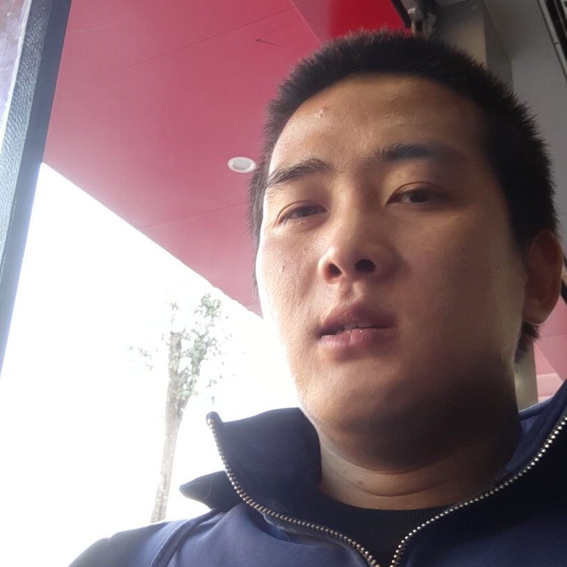 坦率大树的照片