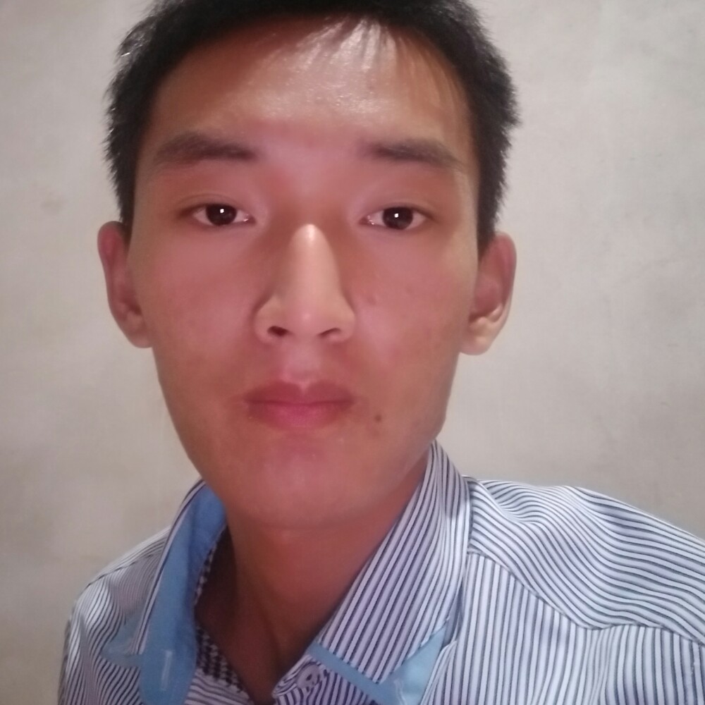 菩提红豆的照片