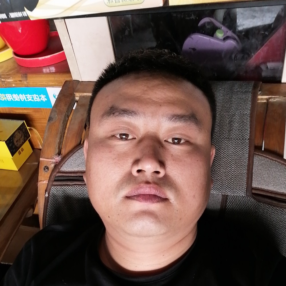 翅膀演变忧虑的照片