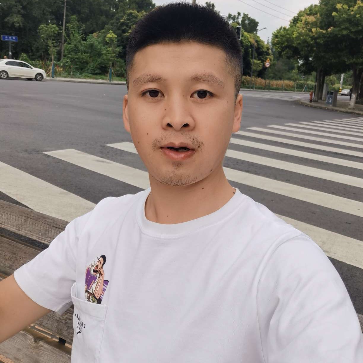 飞鸟笨笨的照片