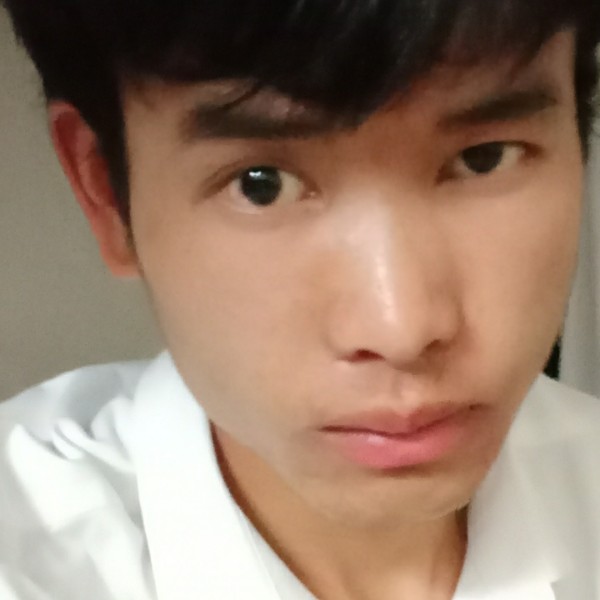 小巧小天鹅。的照片