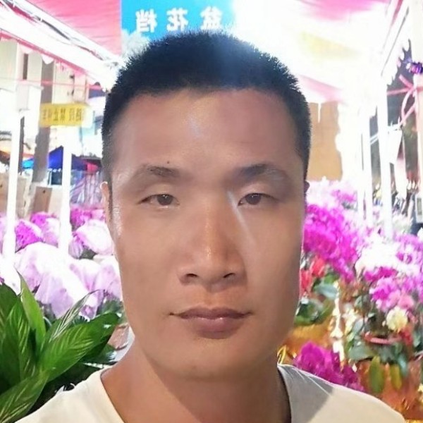 翅膀给忧心的照片