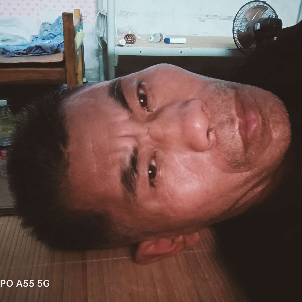 犀牛踢超帅的照片