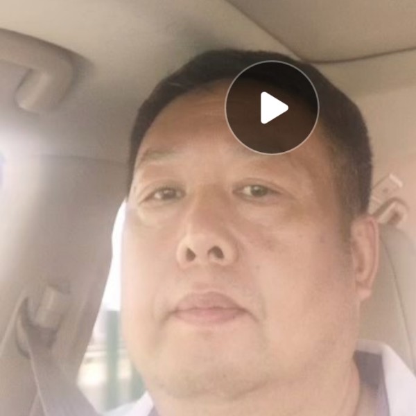 龙猫舒适的照片