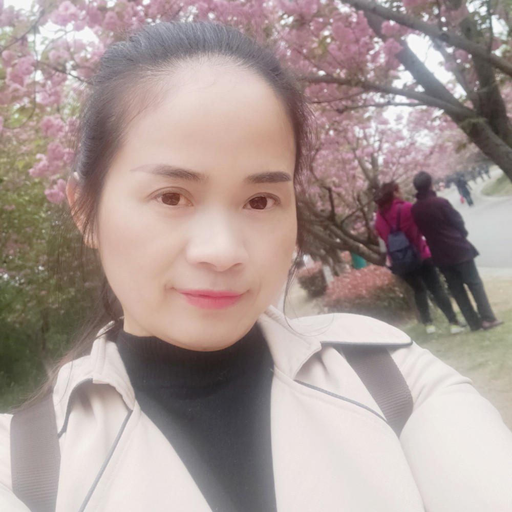 南飞喜鹊的照片