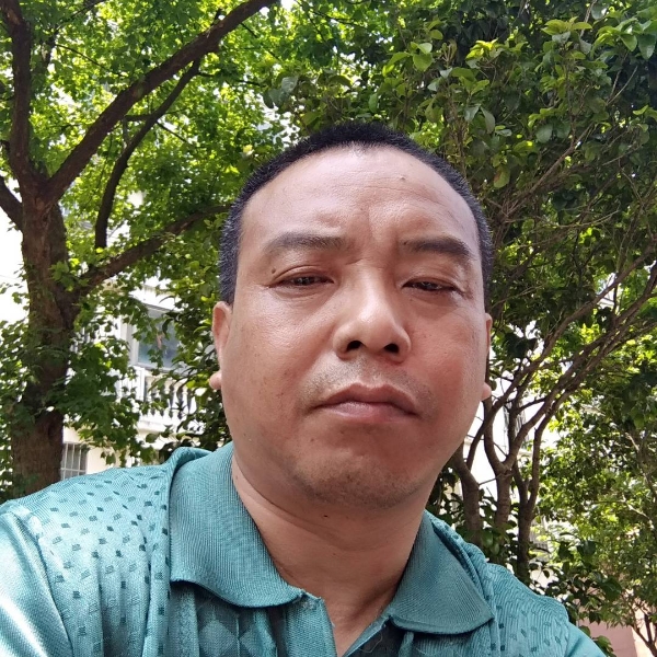 迷人无可取代的的照片