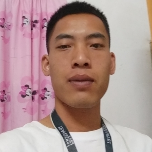 角落里的一只猫的照片