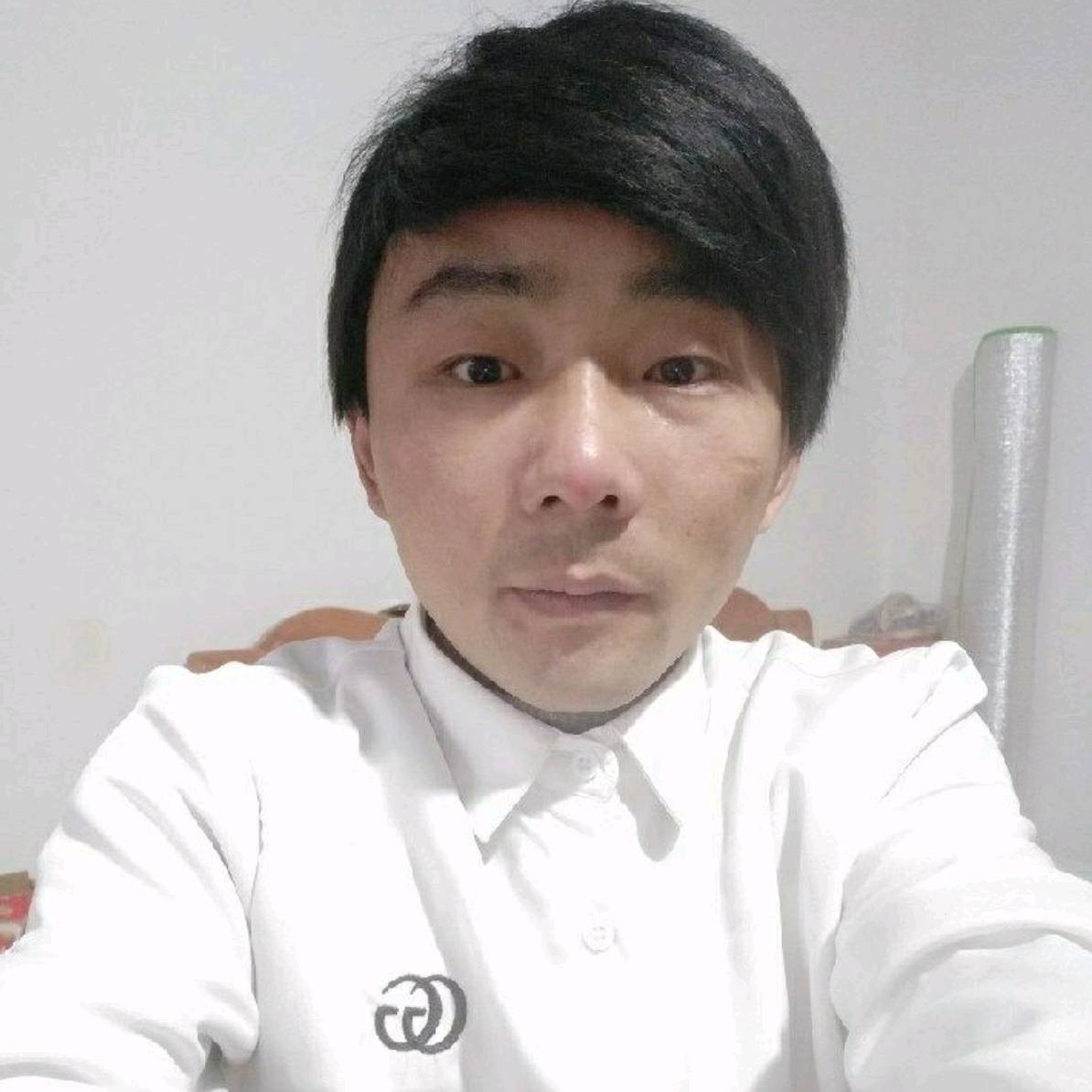 和谐漫步羽毛的照片