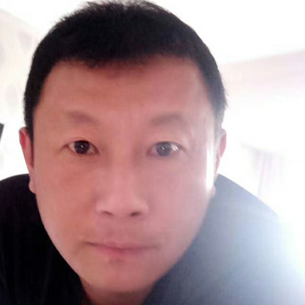 大雁专一的照片